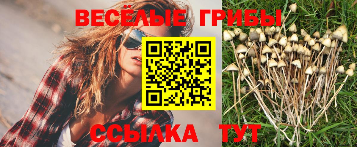 Псилоцибиновые грибы MAGIC MUSHROOMS  Псилоцибиновые грибы Psilocybine cubensis  Печора  продажа наркотиков  Вход с VPN 